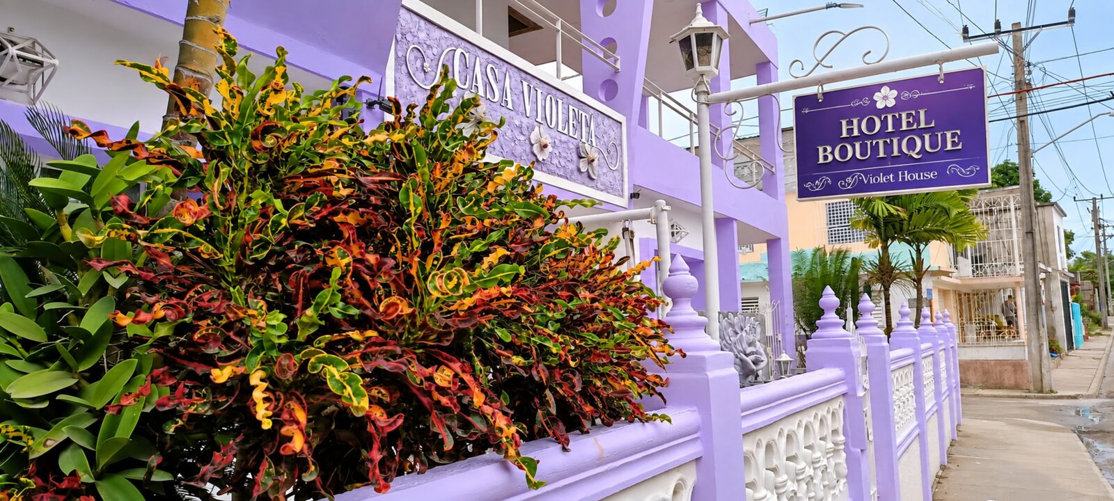Violet House